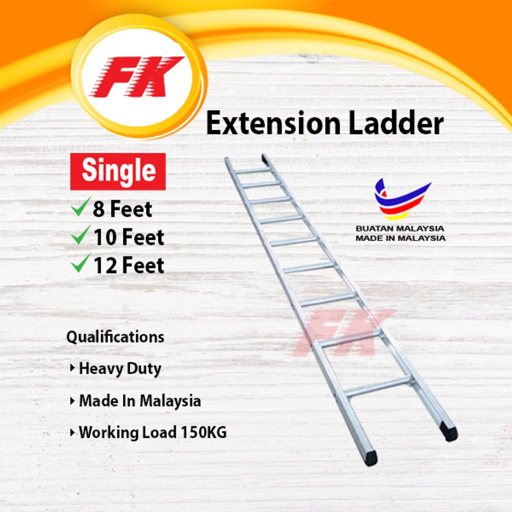 Extension Ladder_1