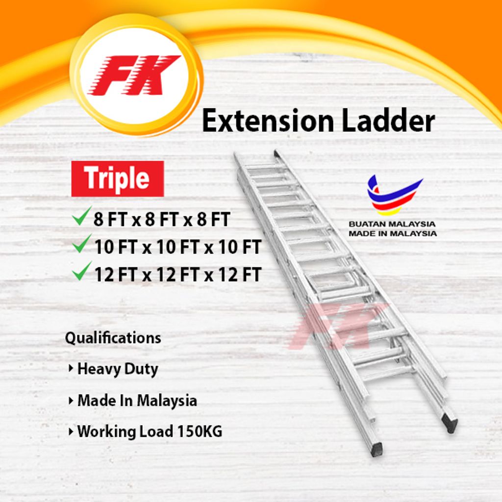 Extension Ladder_3
