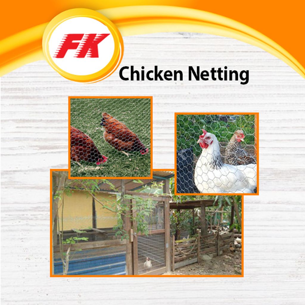 29.1 Chicken Netting 2_5