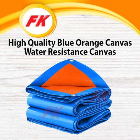65.1 High Quality Blue Orange Canvas_2