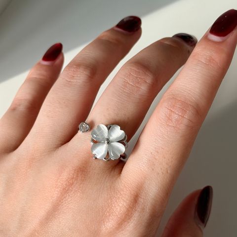 image_C6114297-E9C1-4735-B28C-25877C91561D_1773789113