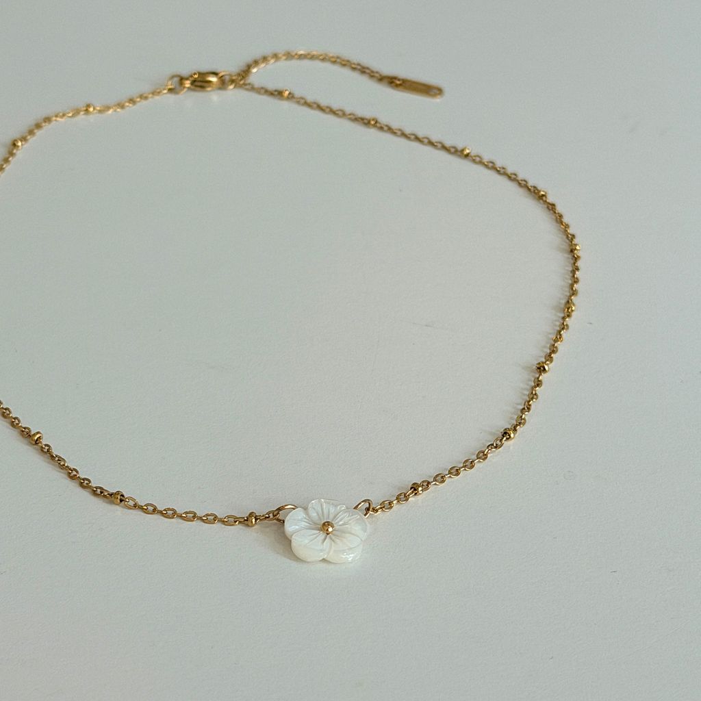 image_EB5A8001-D2F7-4C16-B2C9-F86904292092_1764499377