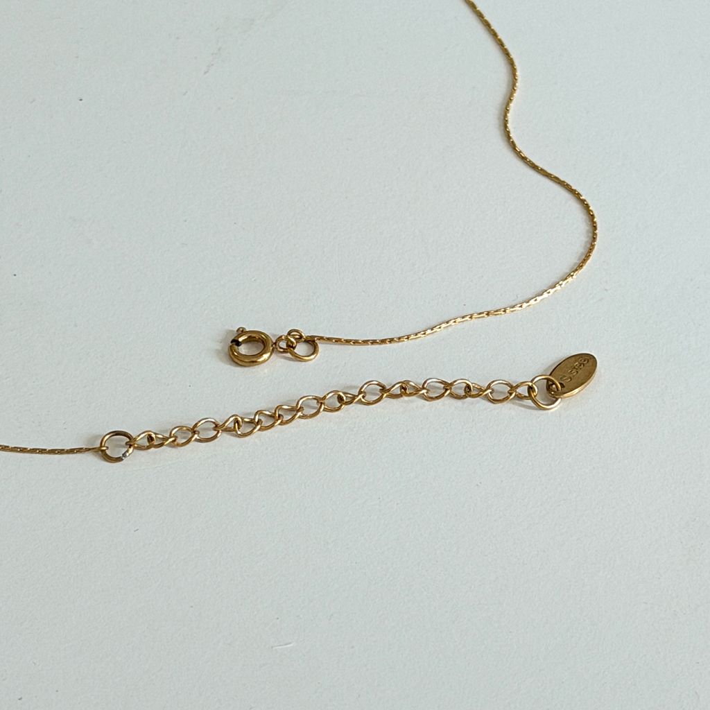 image_C26FE561-E197-48B1-A300-C6A6BD47C376_1764499573