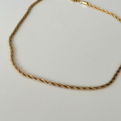 image_3AC9C106-5FEE-4679-8DB0-F703A16BA94D_1771919003