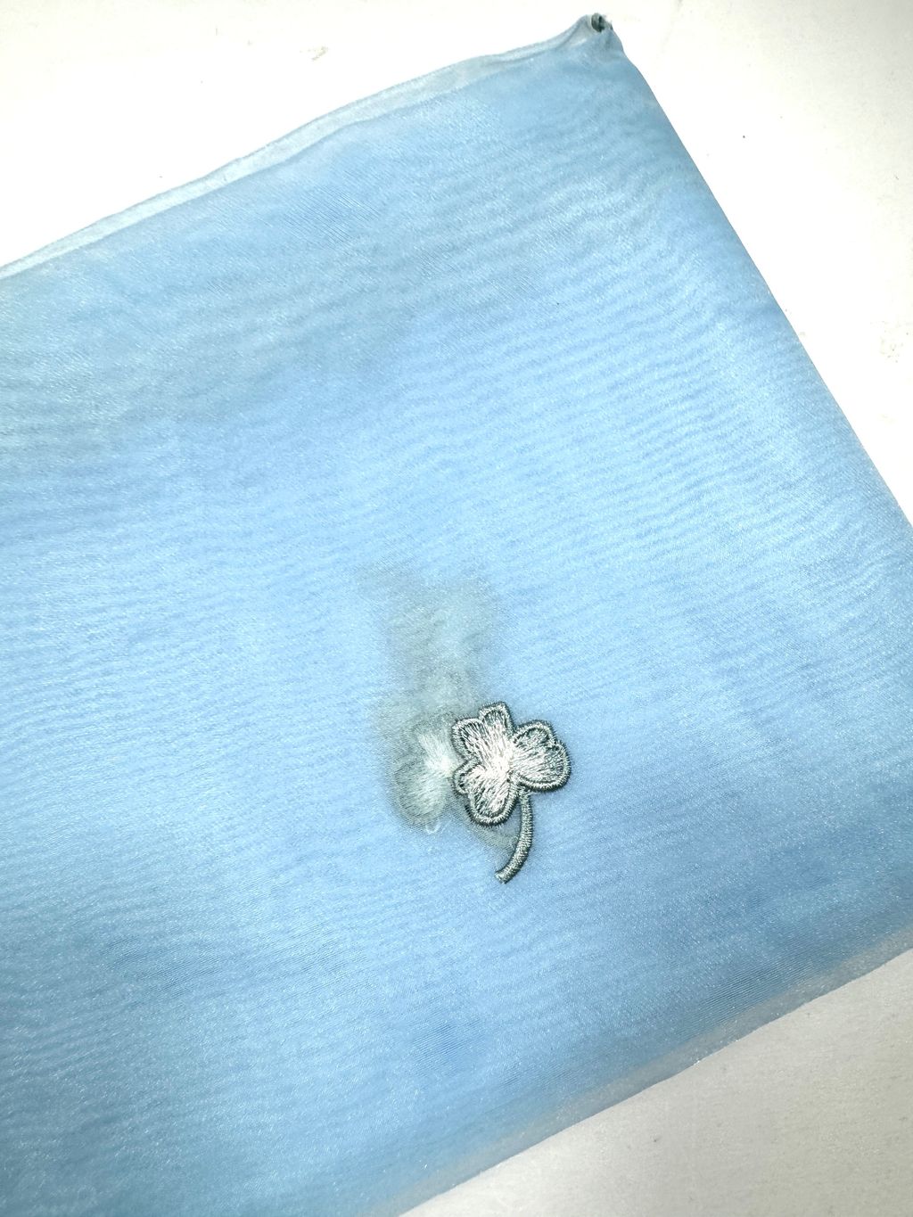 image_7ECED109-F624-4D79-A7C4-8E846FD62DBF_1773048763