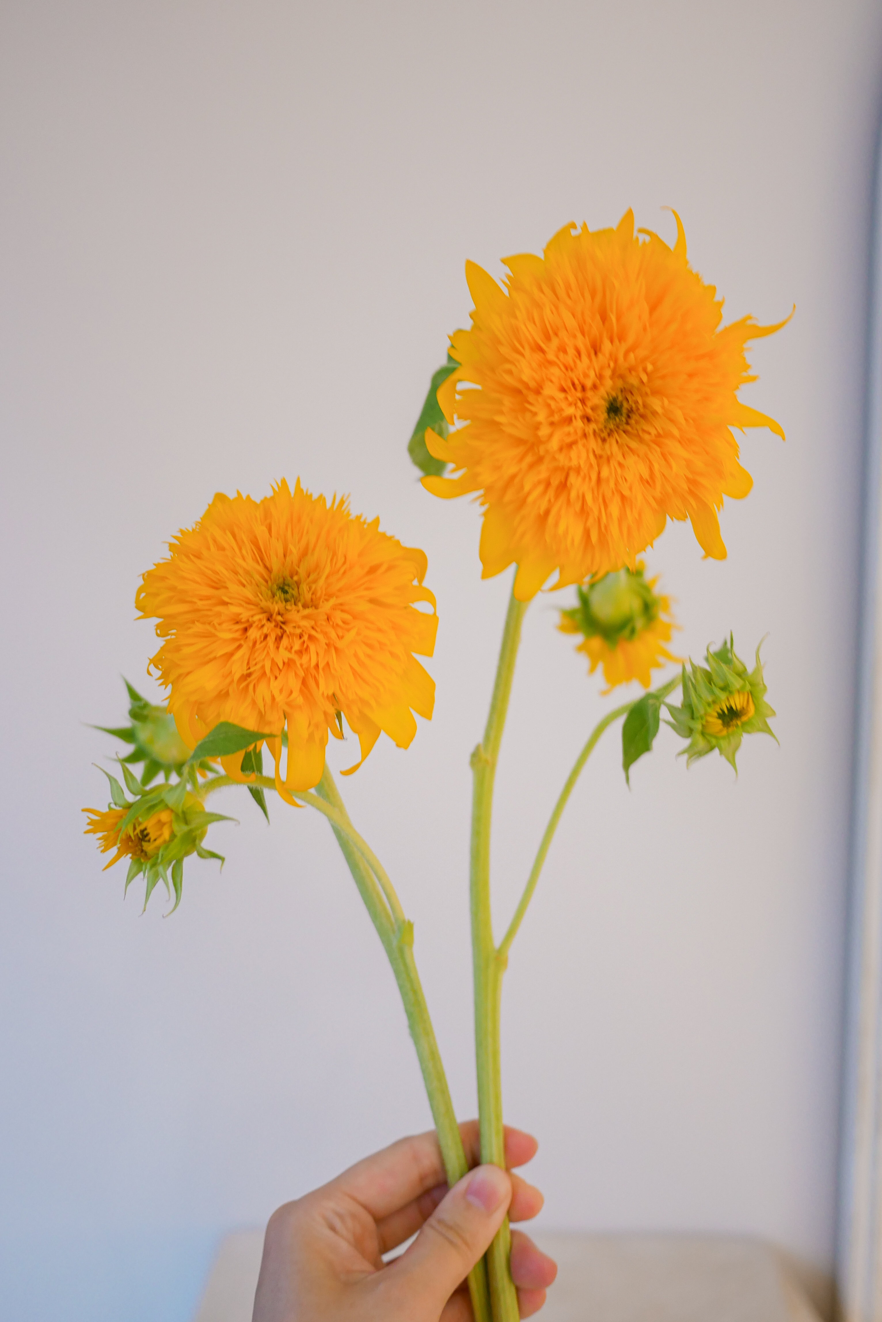 P1510041