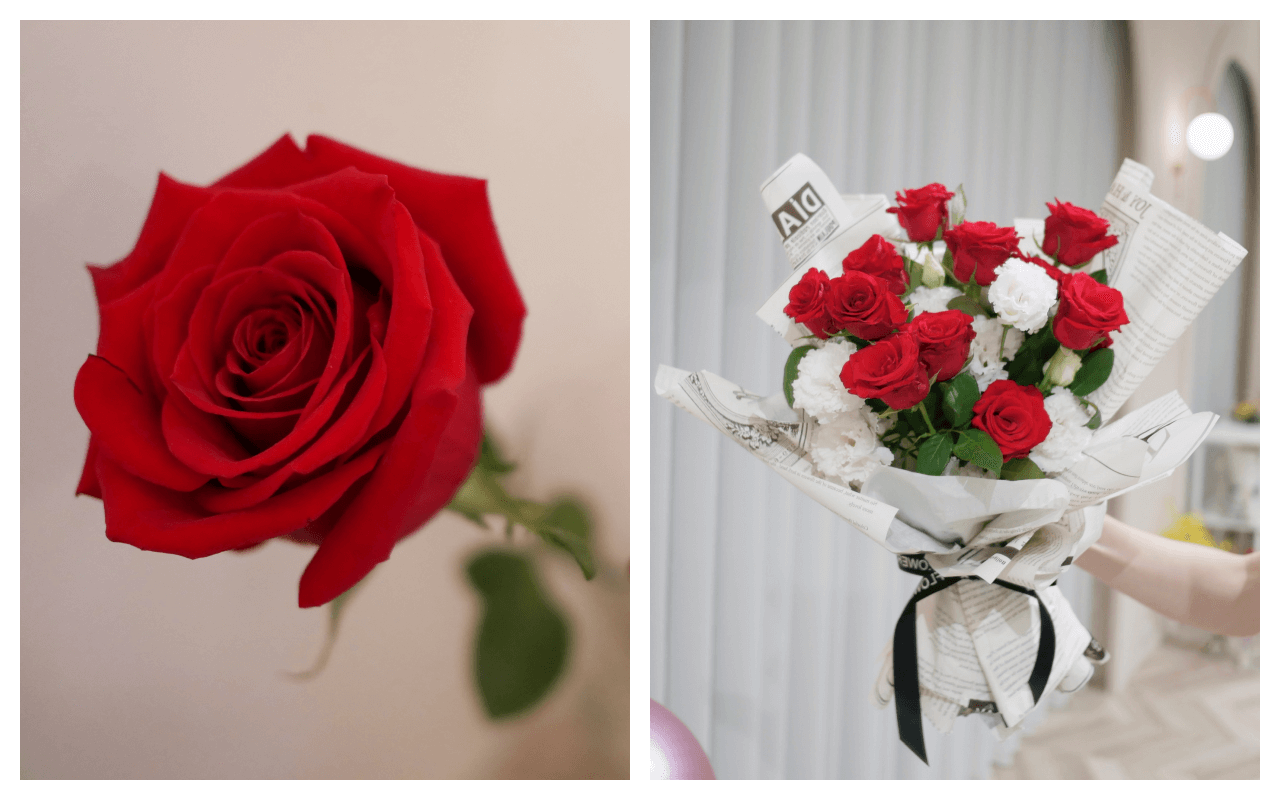 玫瑰花花語與顏色代表含意紅.png