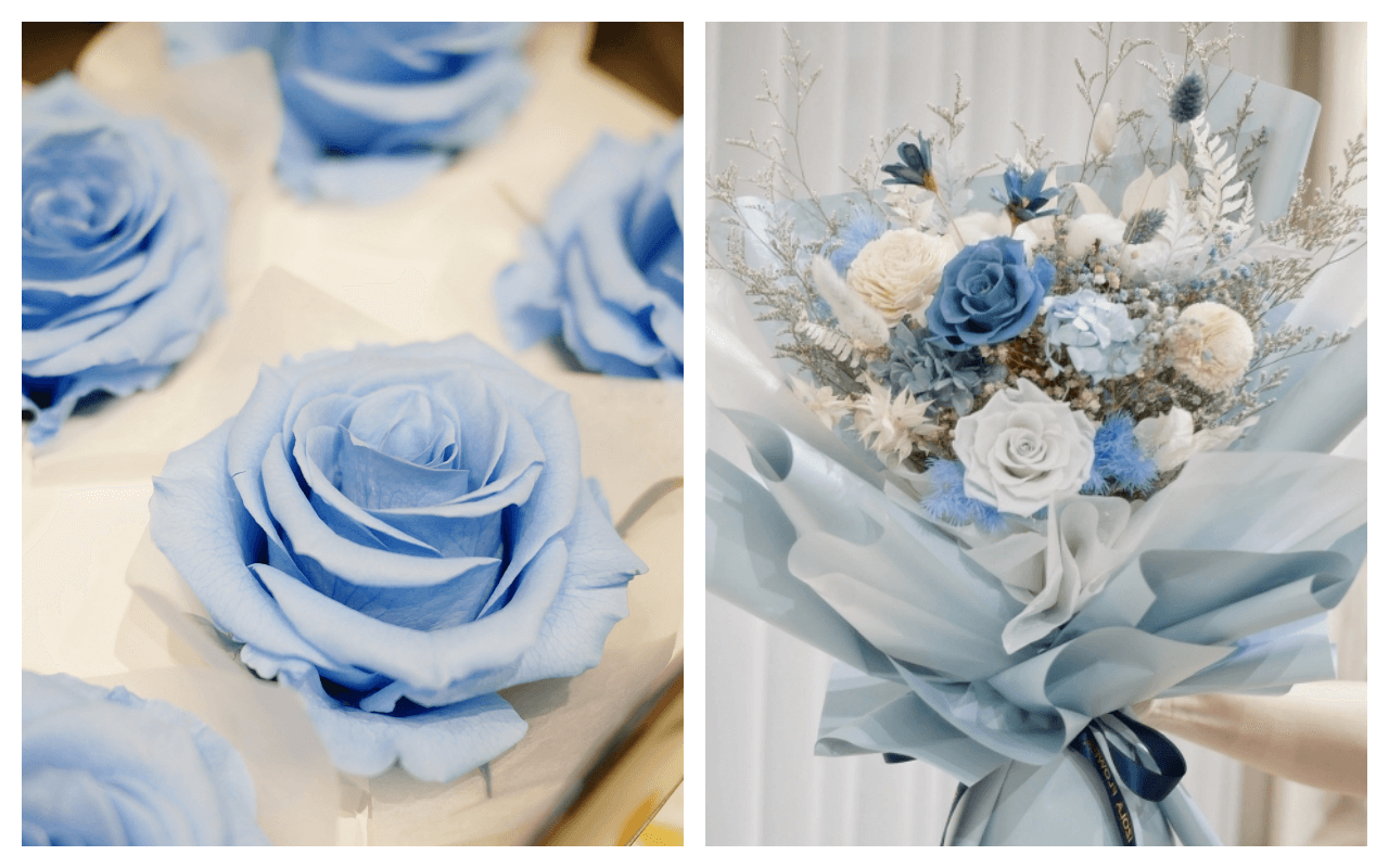 玫瑰花花語與顏色代表含意藍.png