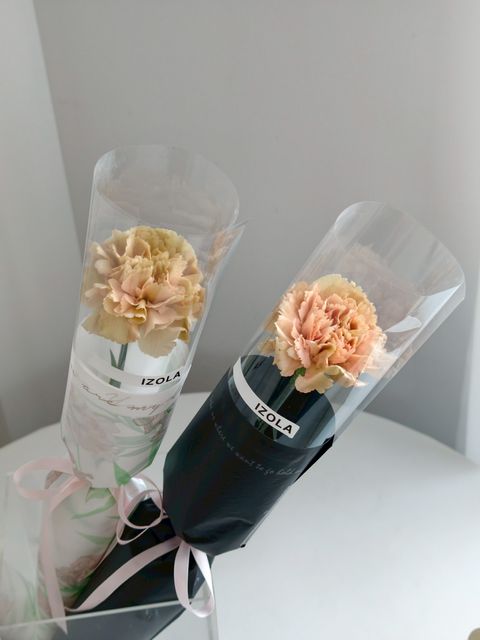 LINE_ALBUM_2026母親節_260408_1