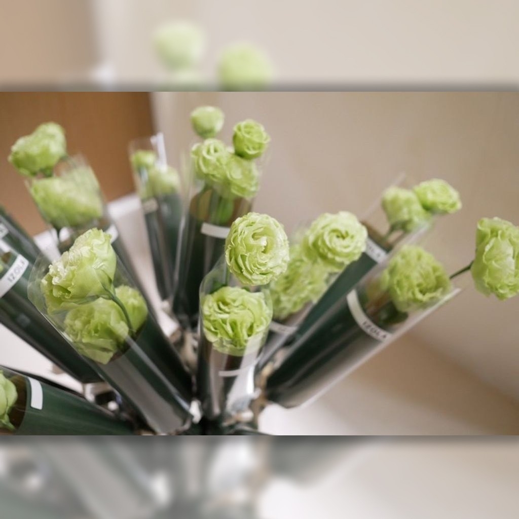 鮮花花束 不忘的愛 單支結梗花束 Izola Flower 伊左拉花植工作室 高雄左營花店 鮮花 永生花 乾燥花 花藝教學