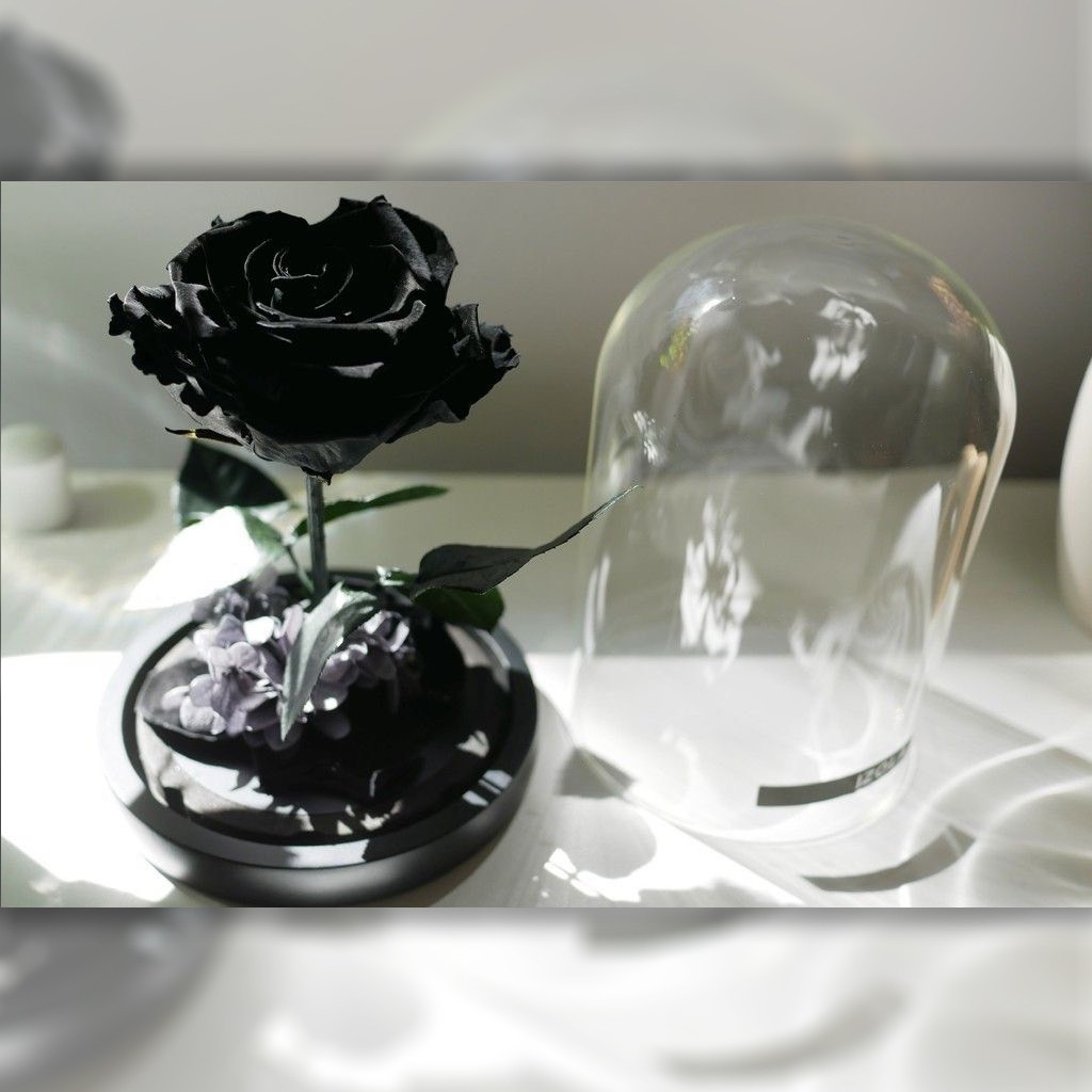 永生乾燥花玻璃鐘罩-黑玫瑰4.jpg