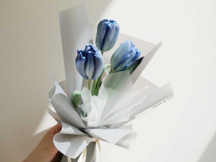 藍色鬱金香花束_鬱金香高雄專賣店878 (2).jpg