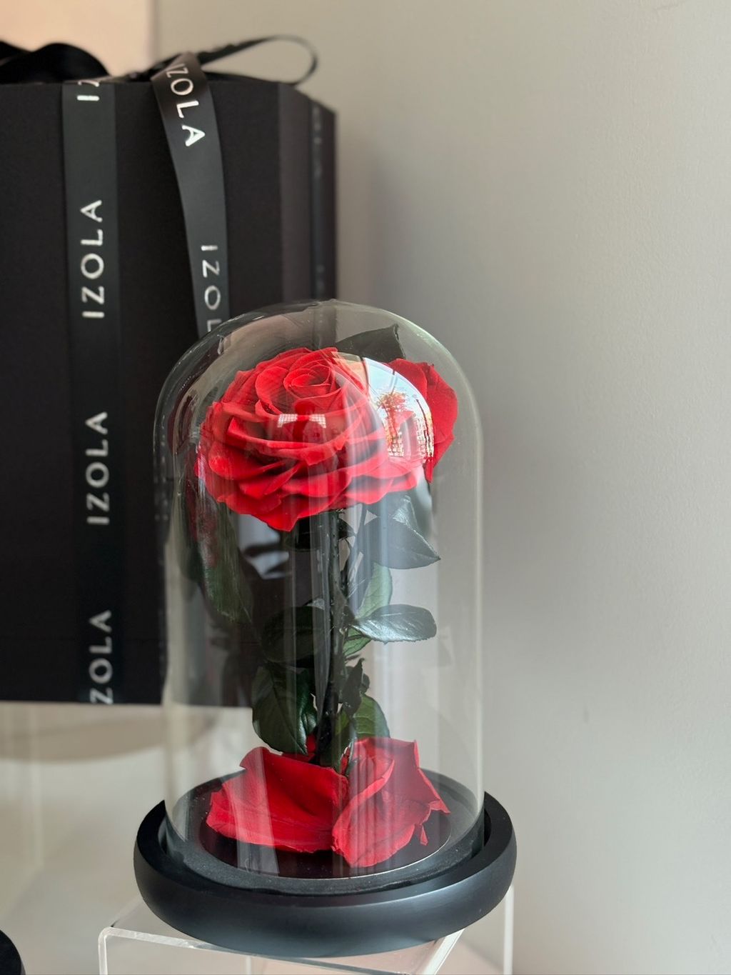 小王子玫瑰永生花玻璃鐘罩一朵