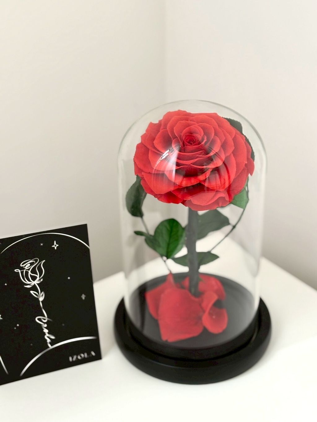 小王子玫瑰永生花玻璃鐘罩一般款