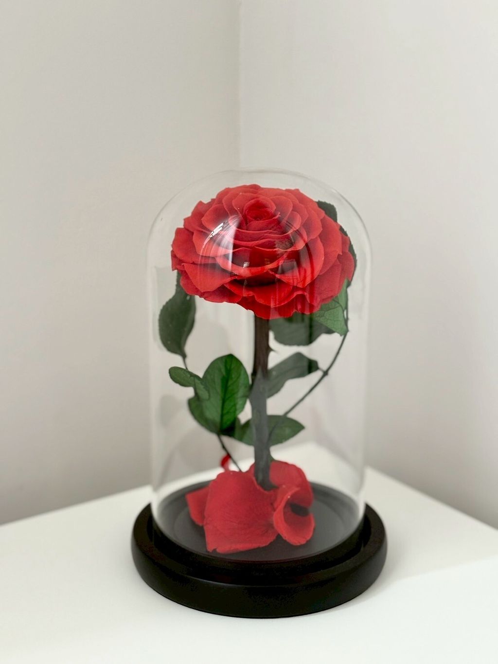 小王子玫瑰永生花玻璃鐘罩一般款