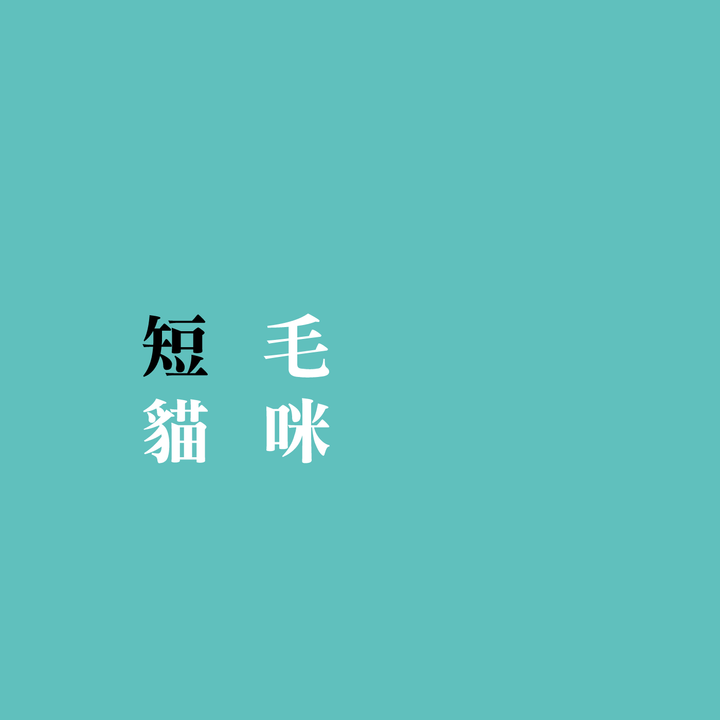 毛量icon-03.png