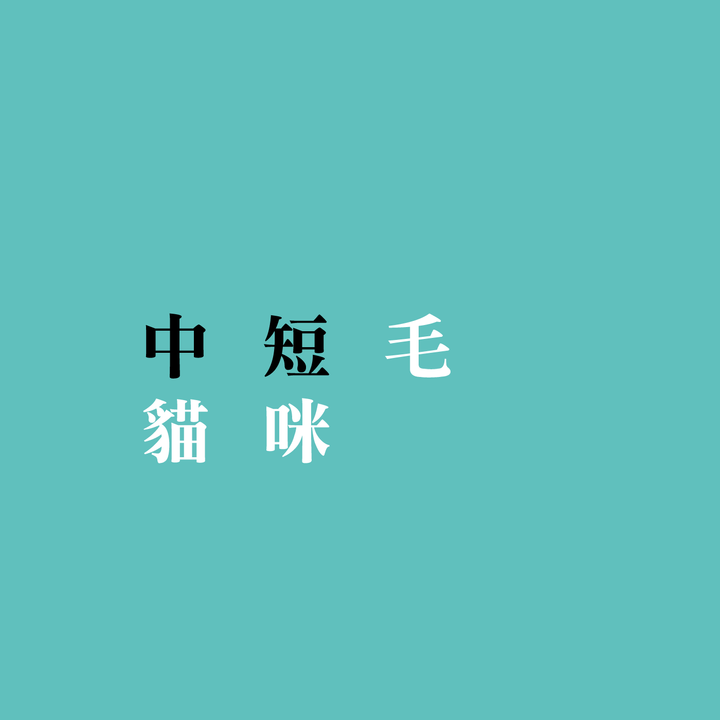 毛量icon-02.png