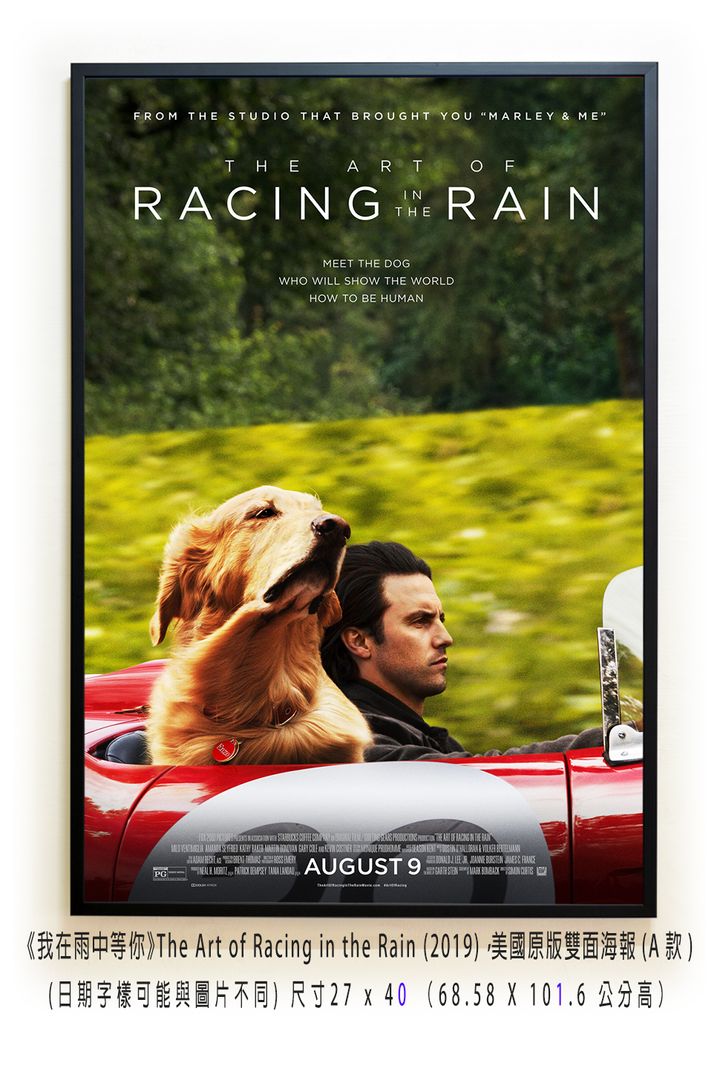 《我在雨中等你》The Art of Racing in the Rain (2019)，美國原版雙面海報(A款)空.jpg