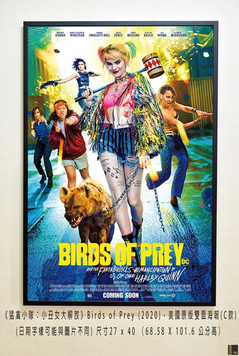 《猛禽小隊：小丑女大解放》Birds of Prey (2020)，美國原版雙面海報(C款) 空.jpg