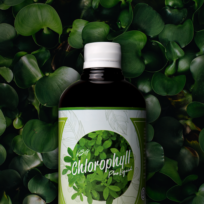 Annkang Wellness | Chlorophyll Plus Liquid