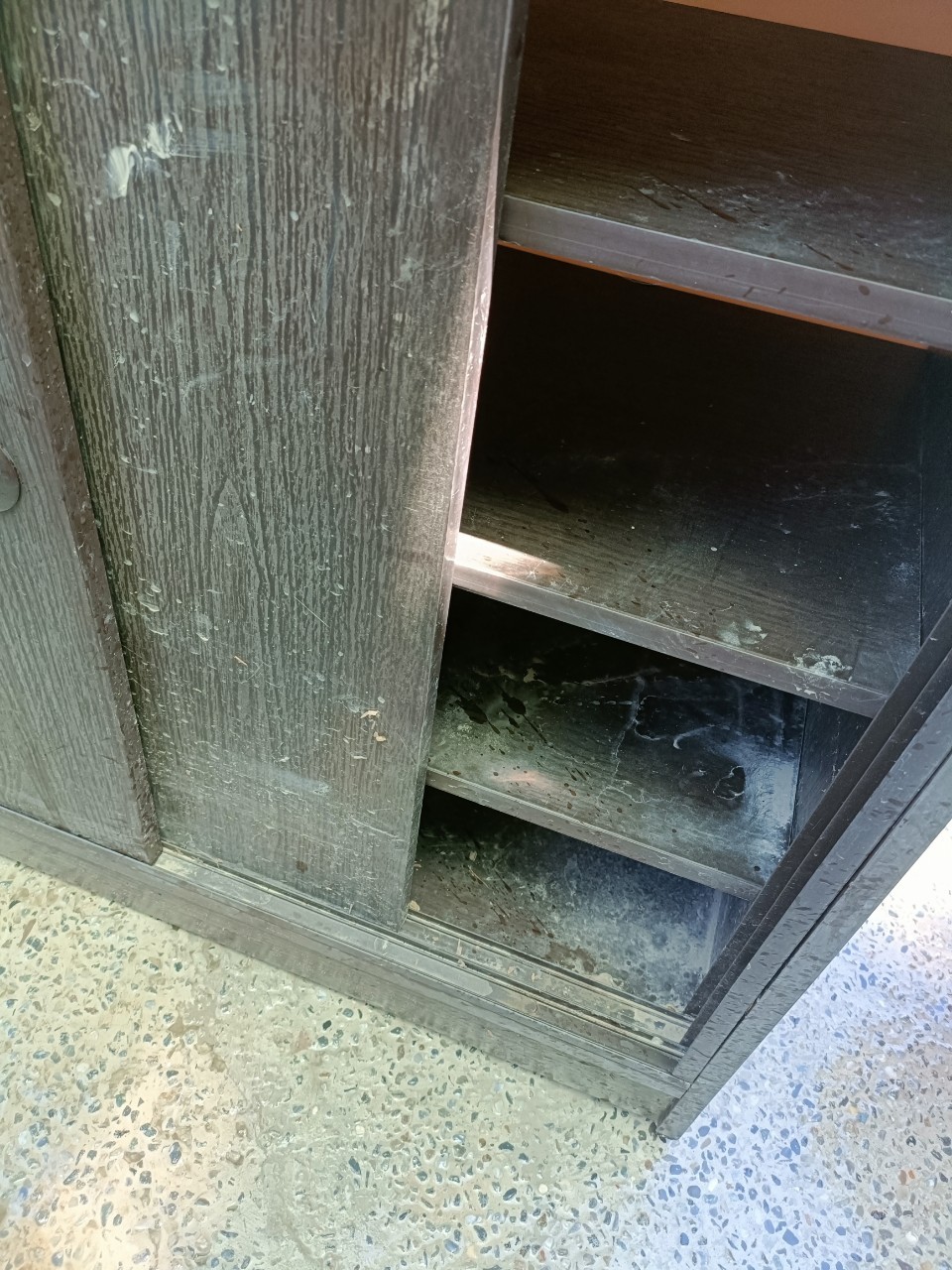 LINE_ALBUM_202481_240801_71