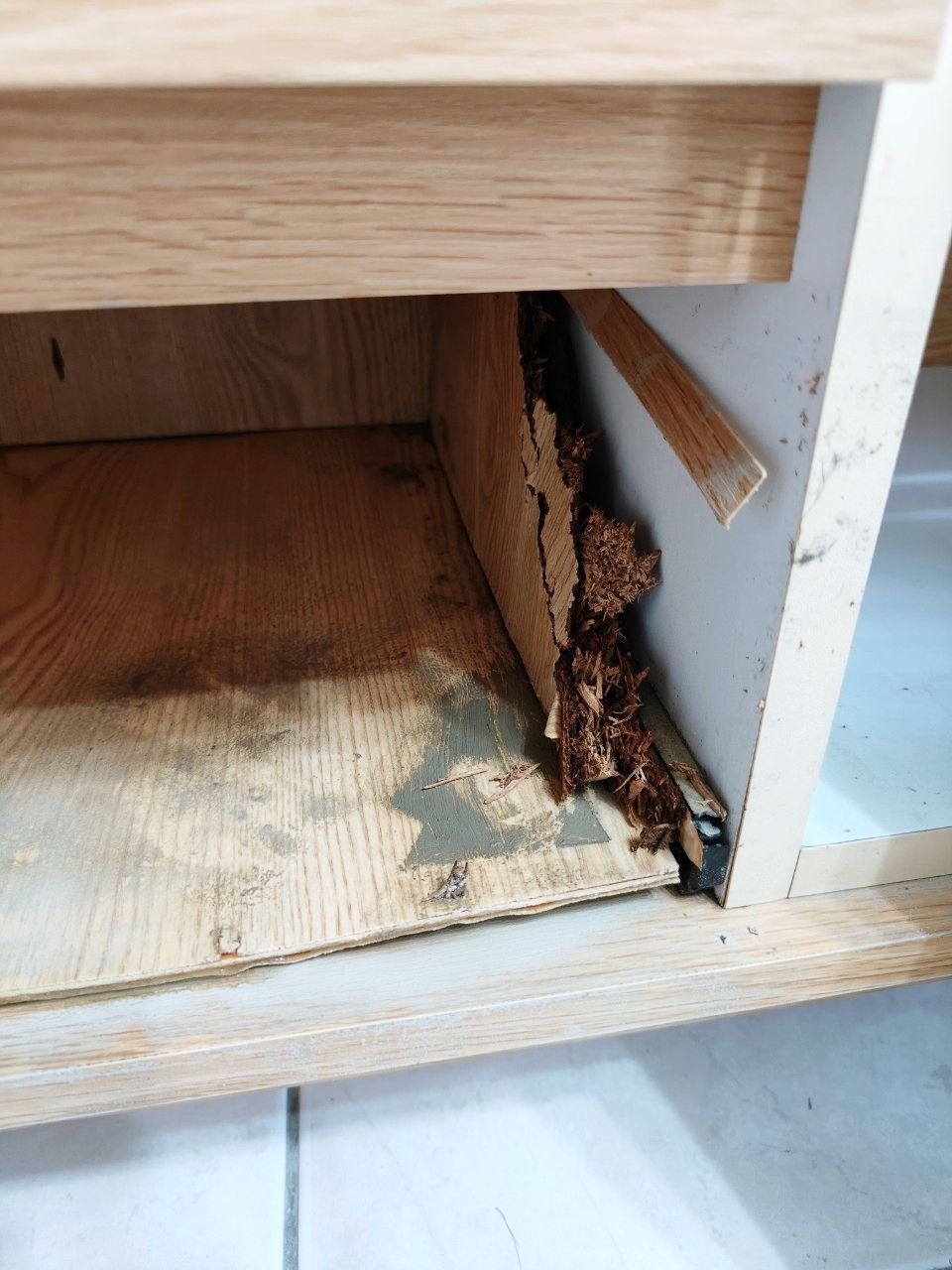 LINE_ALBUM_水上魯小姐_240803_56