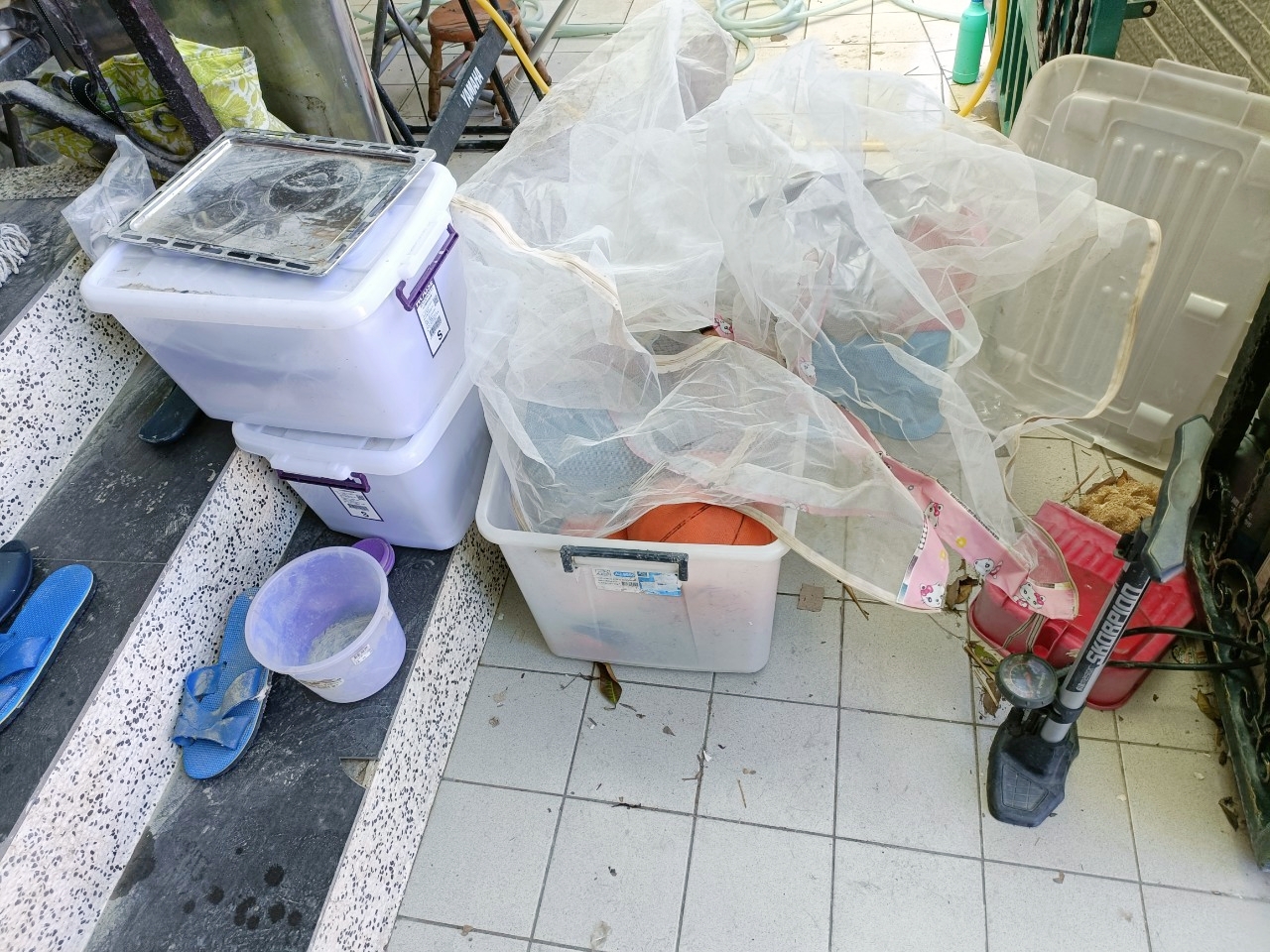 batch_LINE_ALBUM_202481_240801_66