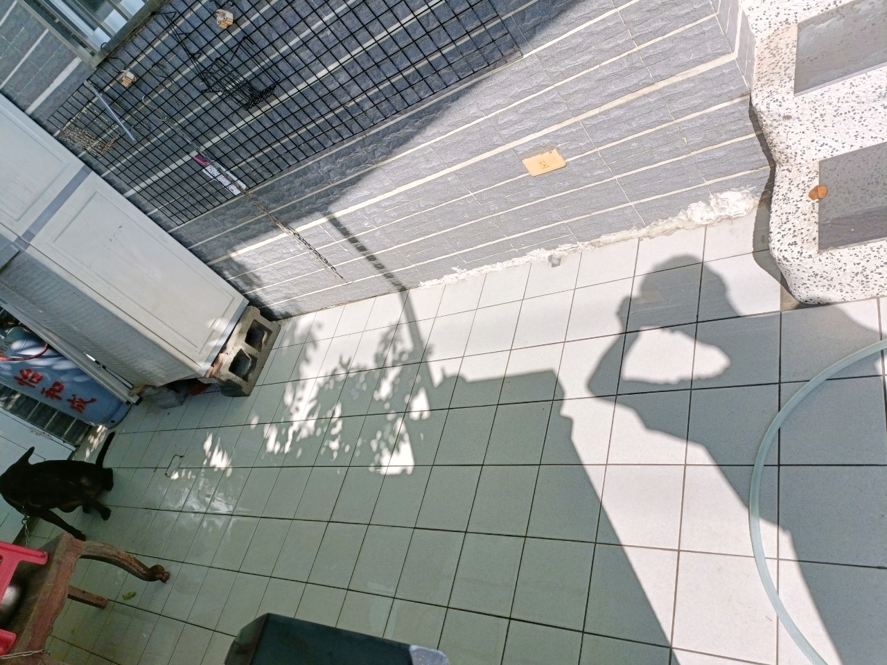 batch_LINE_ALBUM_202481_240801_30