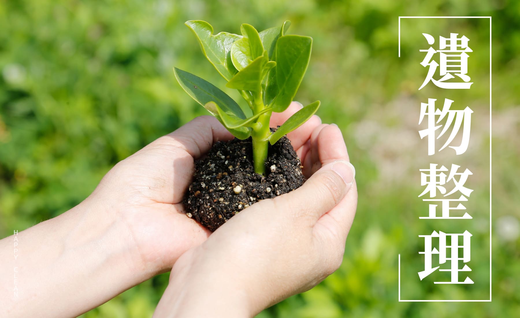 嘉義遺物整理｜細緻分類示意圖