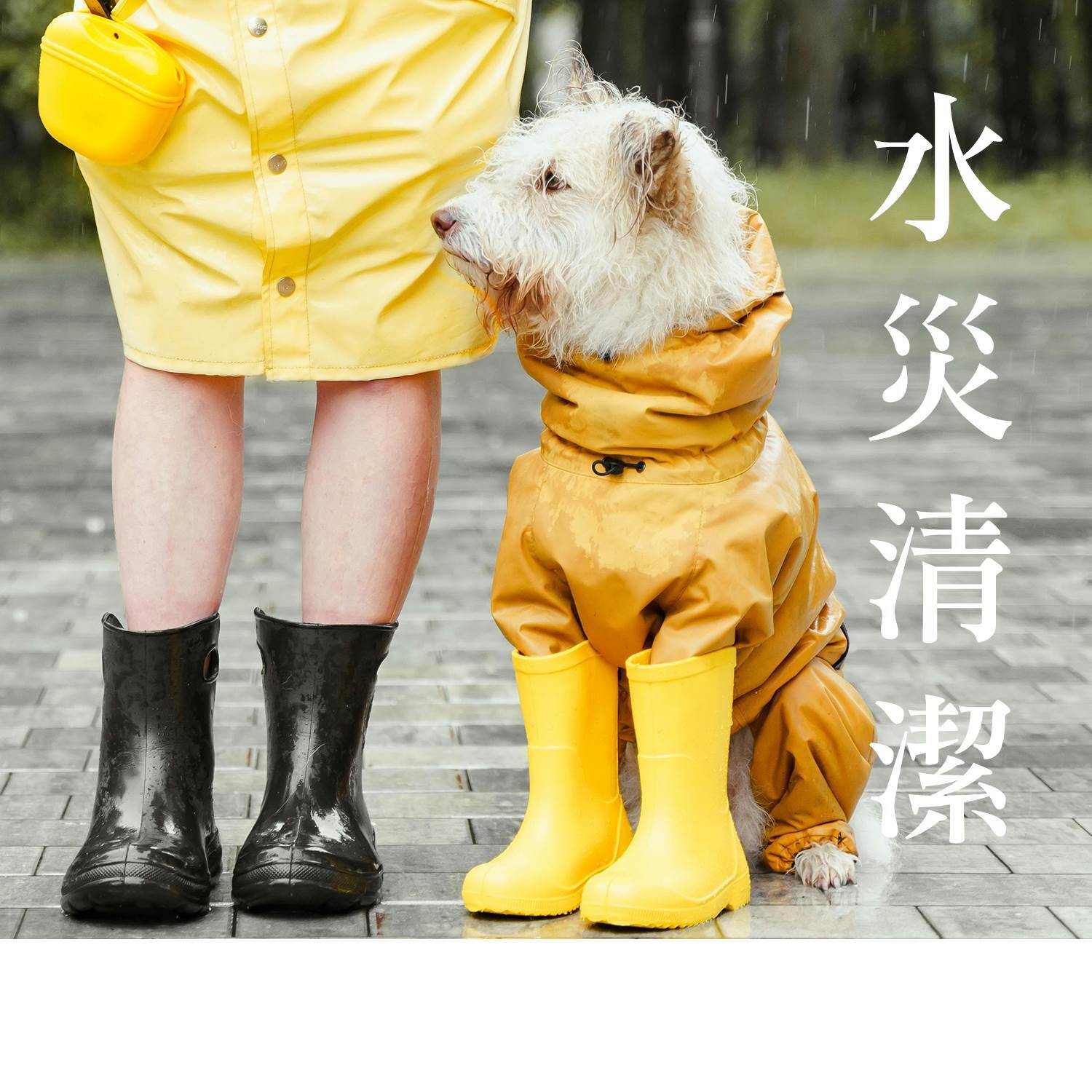 嘉義水災後積水污泥與現場清潔服務