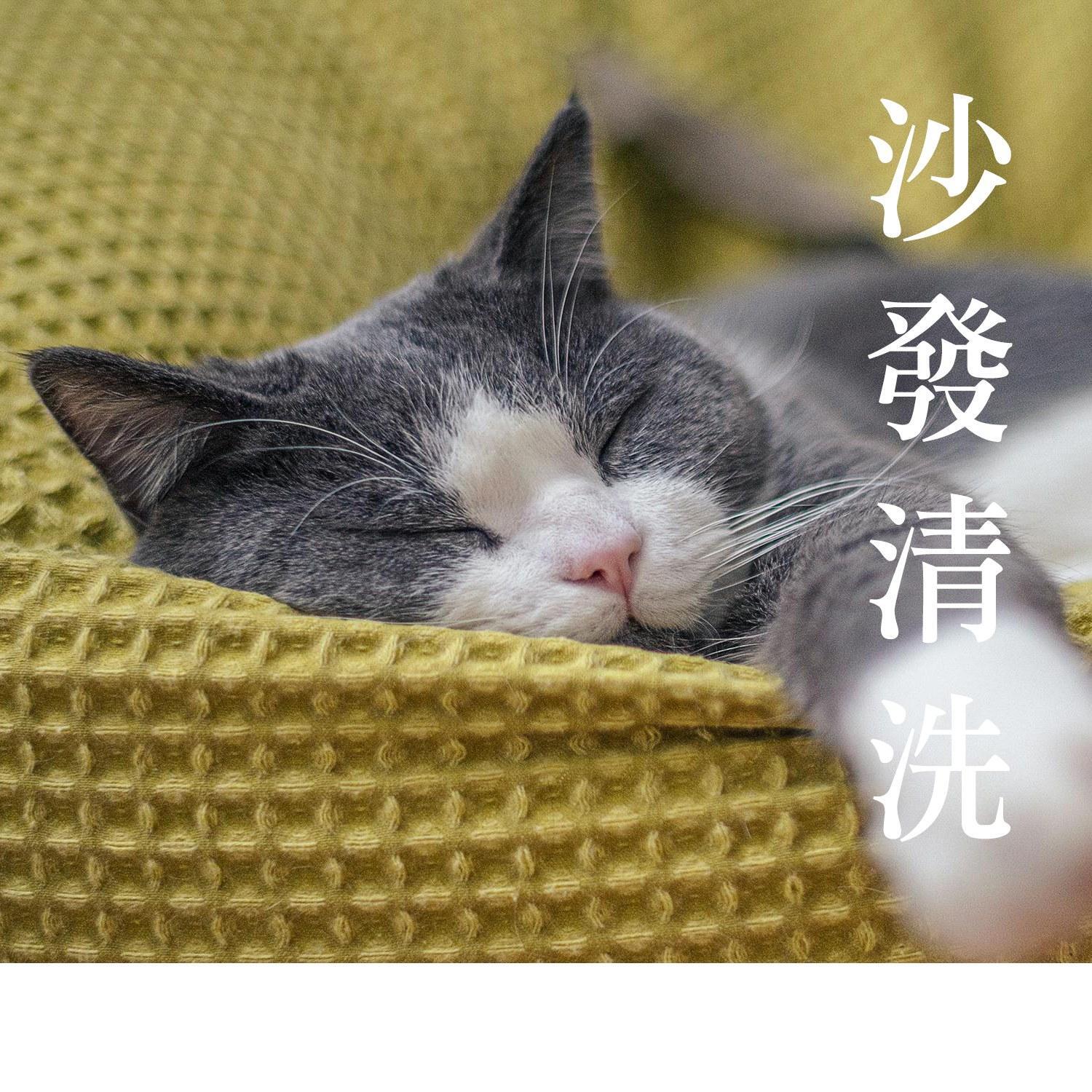 嘉義布沙發水洗與深度清潔保養服務