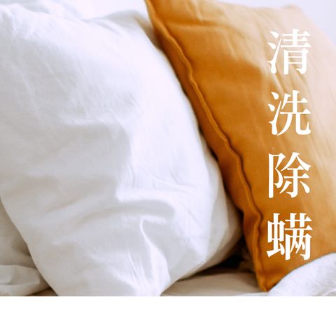 床墊除螨-1
