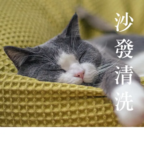 清洗沙發-1