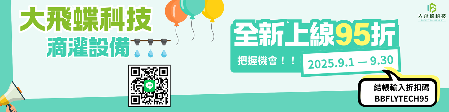 大飛蝶科技 | 