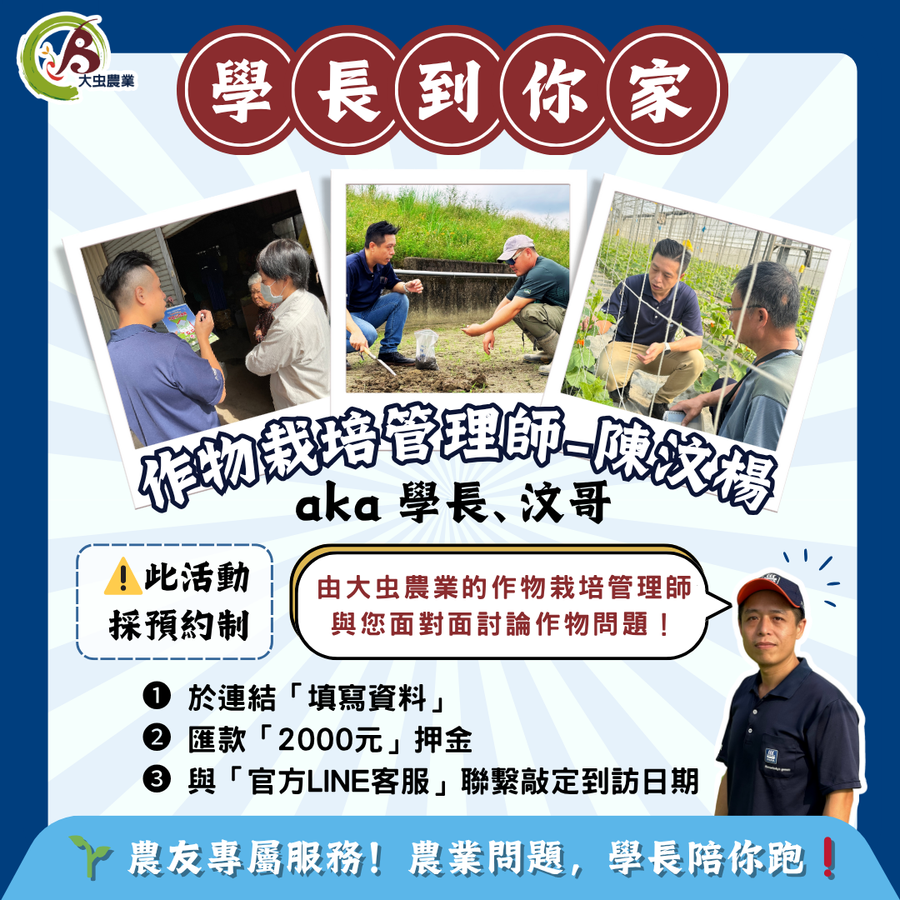 大飛蝶科技 |  - 專業課程