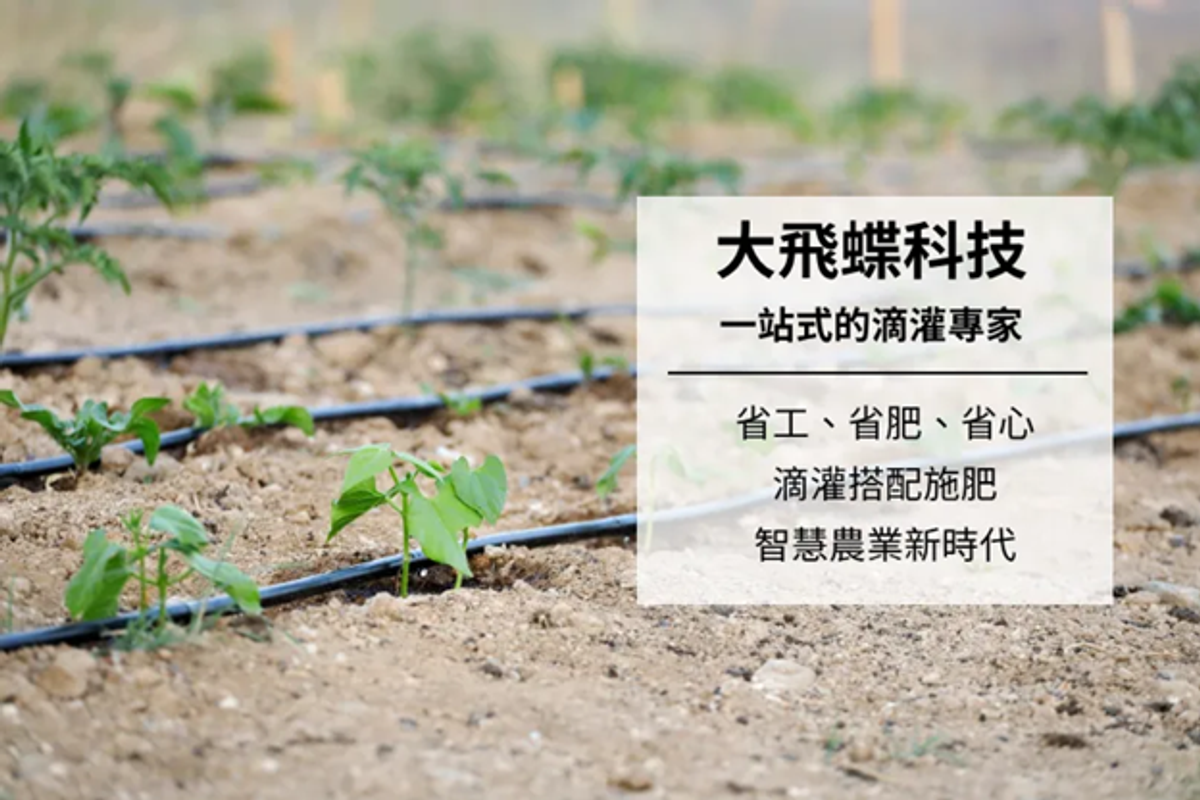 滴灌的全面效益