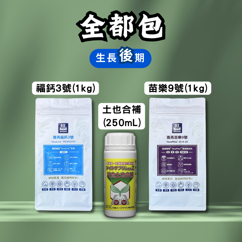 全都包-生長後期