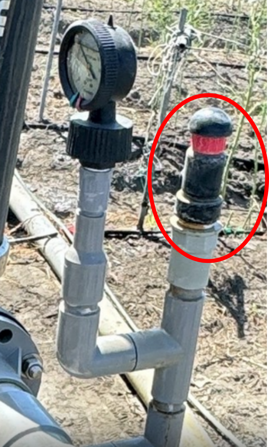 紅黑排氣閥田間使用_商品