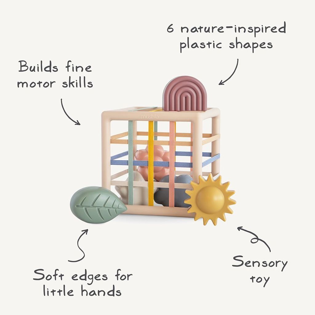 Elastic Shape Sorter Info-p
