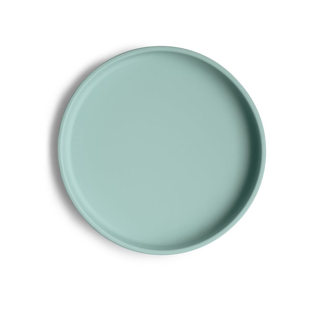 Cambridge Blue_Silicone Plate_Top-p