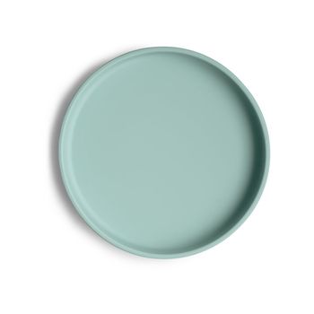 Cambridge Blue_Silicone Plate_Top-p