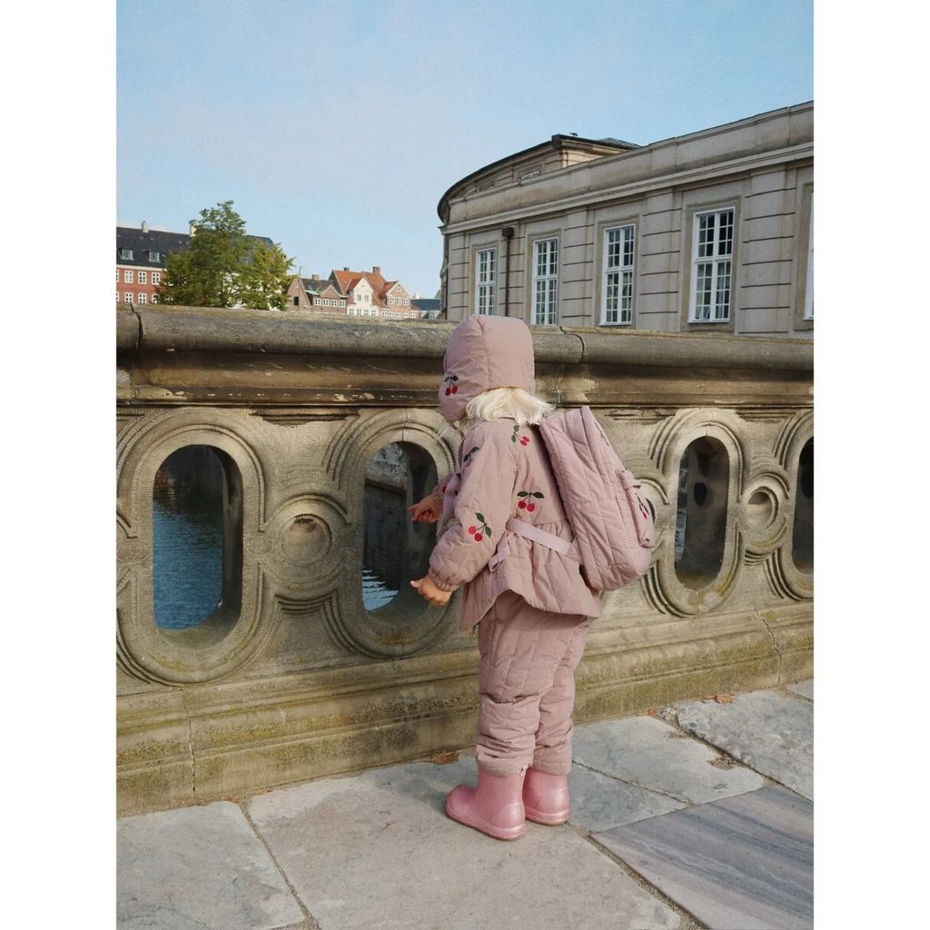 messageImage_1764658612481_0