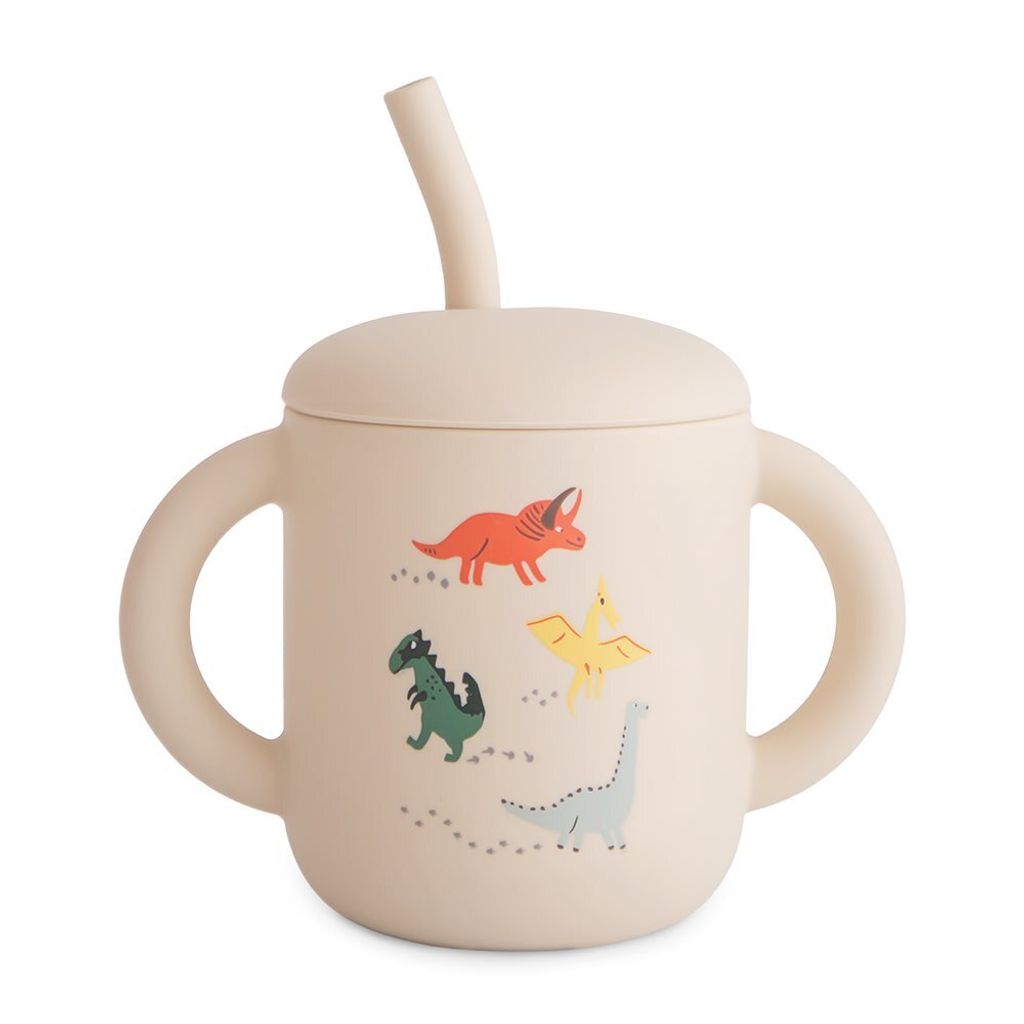 Silicone Training Cup and Straw_Dinosaurs-p