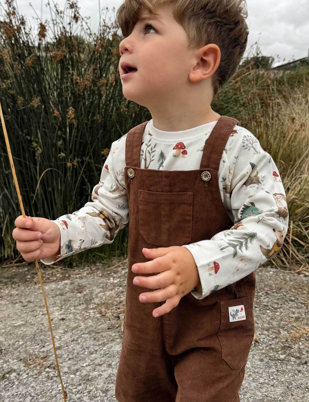 PB1070W26_MFOPR_IMAGE2_2560x2560