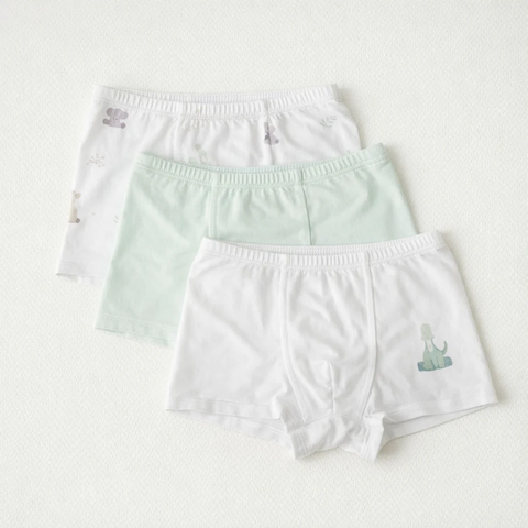 BoyUnderwear