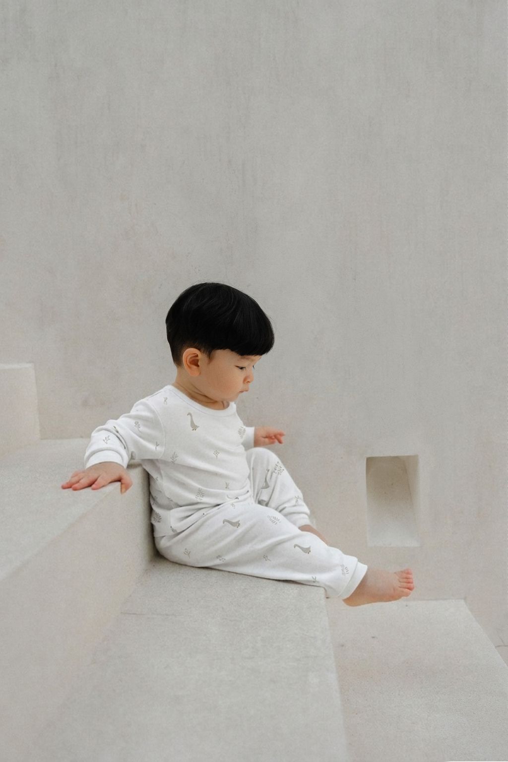 KLS - NEST - MODEL1