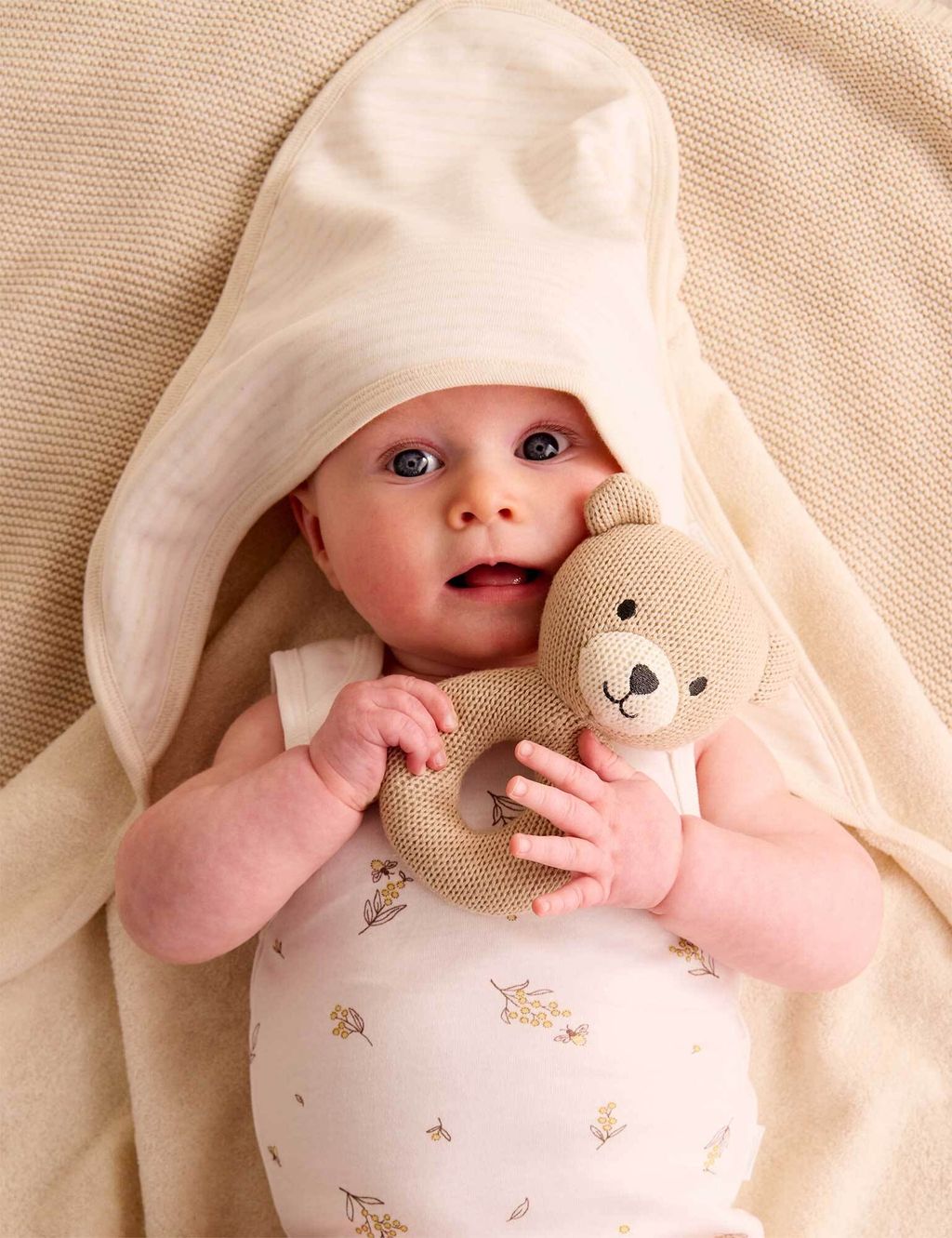 PY1119NS_BEAR_IMAGE2_2560x2560