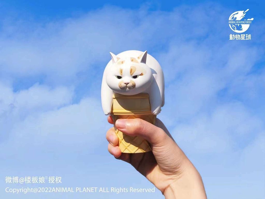 WeChat 圖片_20220617190024.jpg