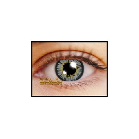 imp magic_3circlegrayeye.jpg