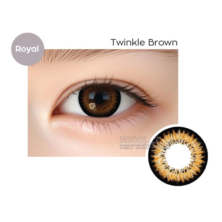product template Twinkle Brown-02